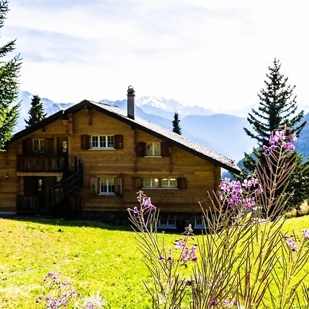 Golmenheim, *